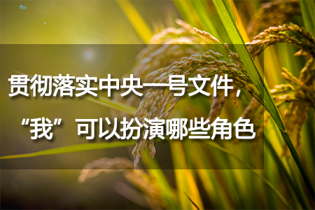 貫徹落實中央一號文件，“我”可以扮演哪些角色？